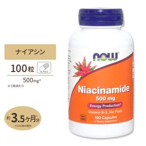 ナウフーズ ナイアシンアミド ビタミンB3 500mg 100粒 NOW Foods Niacinamide (B-3) イキイキとした毎日 エナジーチャージ 補酵素｜proteinusa