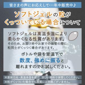 ナウフーズ オメガ3 フィッシュオイル 100...の詳細画像1