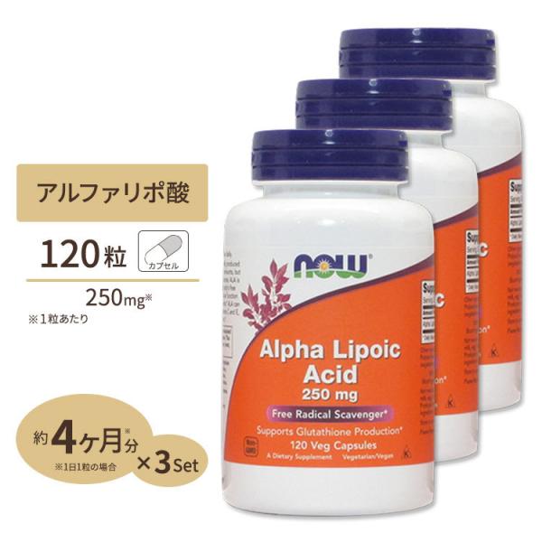ナウフーズ 【お得サイズ】アルファリポ酸 250mg 120粒 3個セット NOW Foods