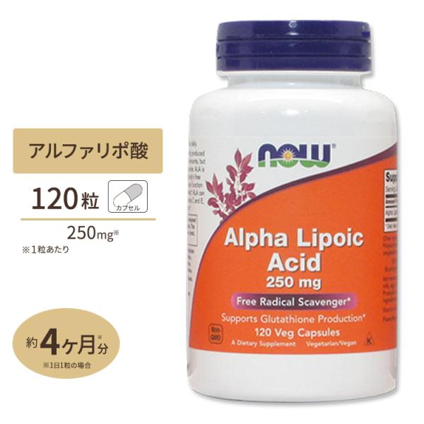 αリポ酸 サプリ 250mg 120粒 NOW Foods ナウフーズ