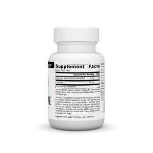 ソースナチュラルズ L-カルノシン 500mg...の詳細画像1