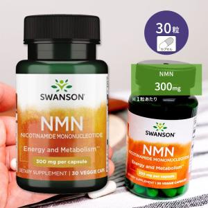 nanoDDS NMN-X NEXTversion Powder 30包 ニコチンアミドモノ