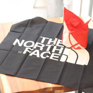 ノースフェイス バンダナメンズ レディース THE NORTH FACE TNFロゴバンダナ nn22200 ハンカチ アウトドア キャンプ ファッション アウター｜protocol