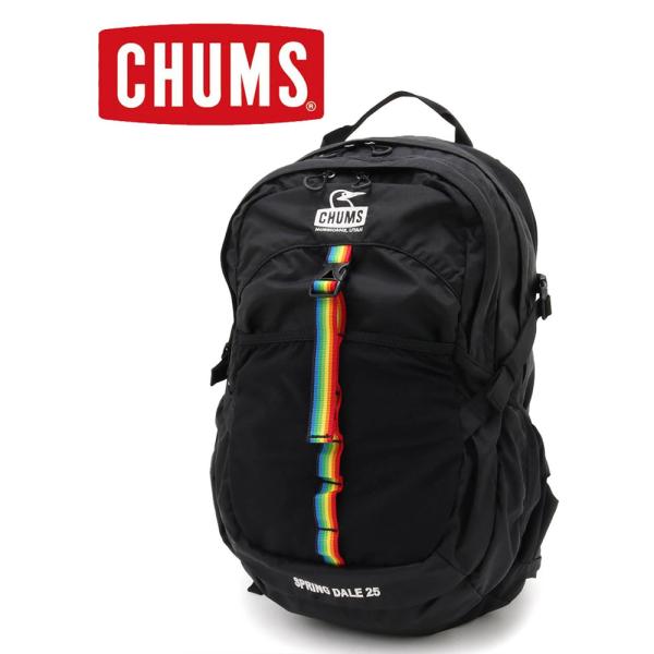 CHUMS チャムス Spring Dale 25 スプリングデール25 CH60-3997 デイパ...