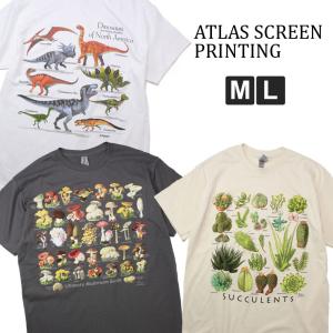 ATLAS SCREEN PRINTING アトラススクリーンプリント Tee ASP040001 恐竜 きのこ 多肉植物 tシャツ 半袖 メンズ レディース 夏 春夏｜protocol