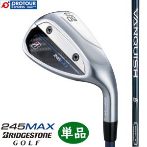BRIDGESTONE GOLF ブリヂストン 245 MAX アイアン 単品（#6番アイアン