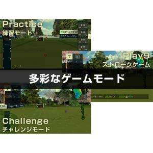 SKY TRAK EXPUTT-RG / スカ...の詳細画像2