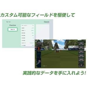 SKY TRAK EXPUTT-RG / スカ...の詳細画像3