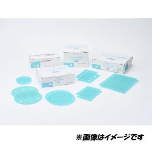 コバックス スーパーアシレックス スカイシート 細目