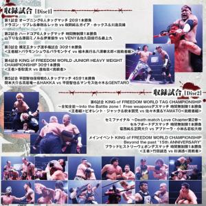 プロレスリングFREEDOMS旗揚げ15周年記...の詳細画像1