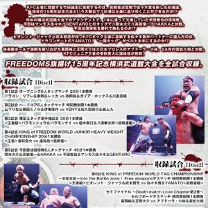 プロレスリングFREEDOMS旗揚げ15周年記...の詳細画像2