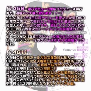 アイスリボンvol.1459〜海乃デビュー3周...の詳細画像1