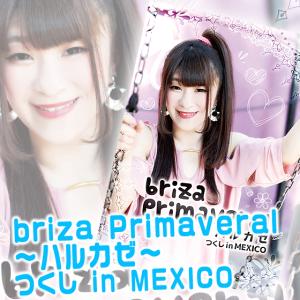 「briza Primaveral〜ハルカゼ〜 つくし in MEXICO」DVD｜prowrestling