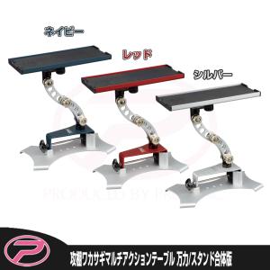 PROX 攻棚 ワカサギ電動リールセット 攻棚ワカサギモータードライブNC