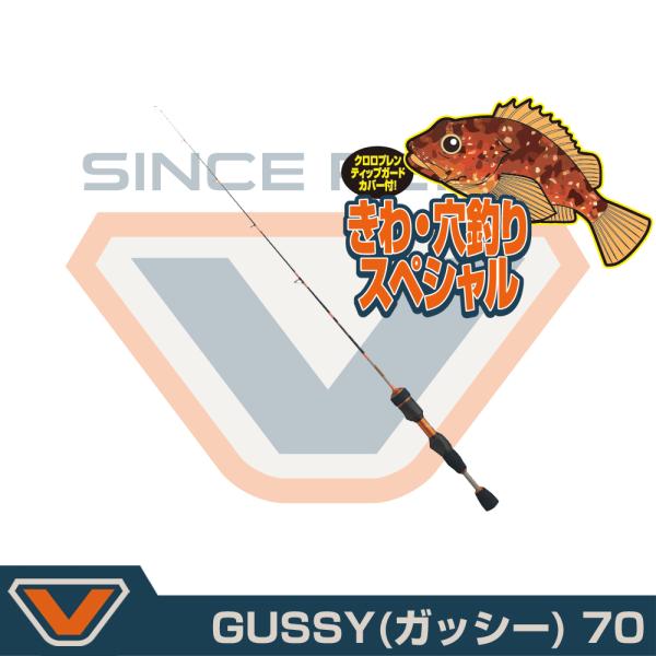(VICEO) GUSSY(ガッシー) 70 (VCGS70)