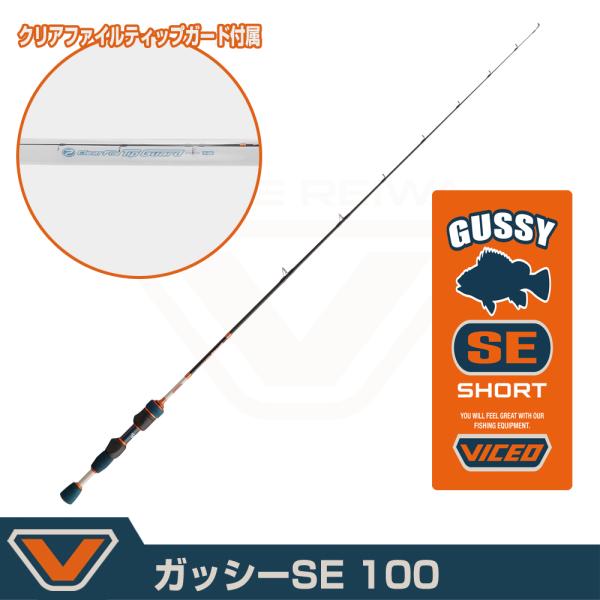 (VICEO) ガッシーSE 100 (VCGSS100)