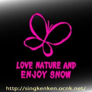 ENJOY SNOW 蝶タイプ ボード系スキー...の詳細画像1