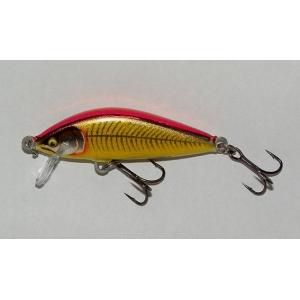 RaPaLa（ラパラ） カウントダウンエリート CDE55 （GDGA） : プロ