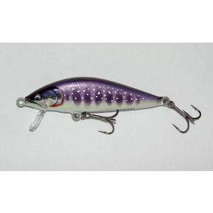 RaPaLa RAPALA SHAD RAP / ラパラ シャッドラップ SSR-9 （SD