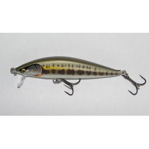 RaPaLa（ラパラ） カウントダウンエリート CDE55 （GDGA） : プロ
