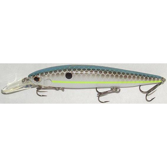 エバーグリーン フェイス EVERGREEN Faith （クイーンシャッド）