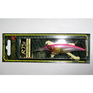 Megabass メガバスX70 サスペンド / megabass X-70 SP（和銀