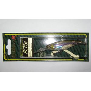 Megabass（メガバス） ビジョン100雅 / Megabass VISION100 : 松本釣具