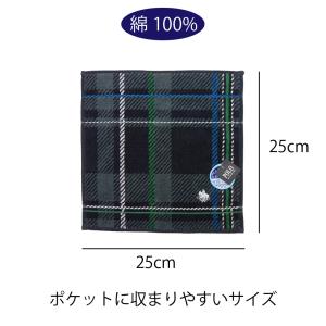 POLO BCS ポロ ハンカチ ゆうパケット...の詳細画像3