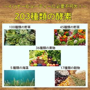【超特価27%オフ】 置き換えダイエット 1カ...の詳細画像3