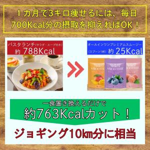 【超特価27%オフ】 置き換えダイエット 1カ...の詳細画像1