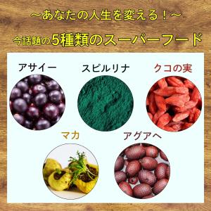 【超特価27%オフ】 置き換えダイエット 1カ...の詳細画像2