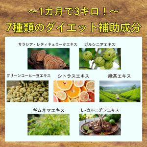 【超特価27%オフ】 置き換えダイエット 1カ...の詳細画像4