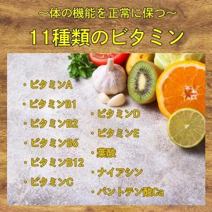 【超特価27%オフ】 置き換えダイエット 1カ...の詳細画像5