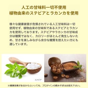 リニューアル ソイプロテイン 無添加 人工甘味...の詳細画像4