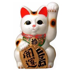 常滑焼 招き猫　梅月　開運白手長小判猫（左手）特大20号　高さ：63cm　｜psp-ho1