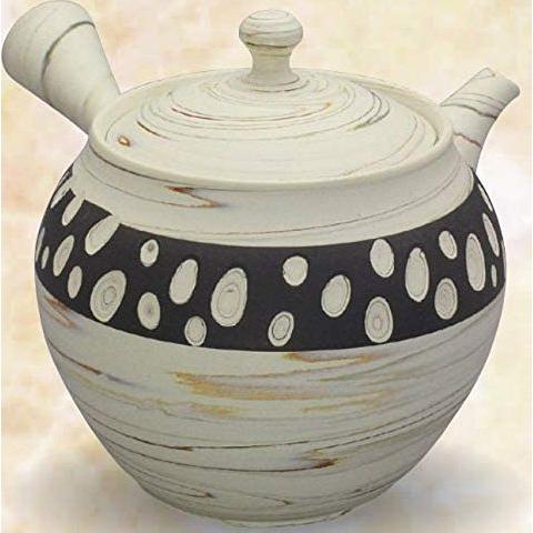 常滑焼 急須 憲児作 白練込み 黒水玉400ml (ささめ茶こし)