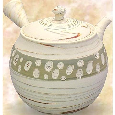 常滑焼 急須 憲児作 白練込み 緑水玉400ml (ささめ茶こし)