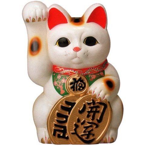 常滑焼 招き猫　梅月　開運白手長小判猫（右手/左手）10号　高さ：35cm　