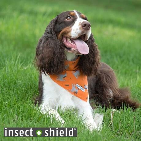 インセクトシールド 犬用虫よけバンダナ insect shield ドッグ＆ボーンズ 虫よけ 虫除け...