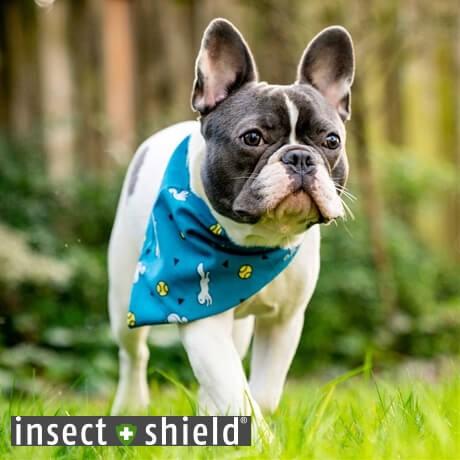 インセクトシールド 犬用虫よけバンダナ insect shield ボール＆リス 虫よけ 虫除け ペ...