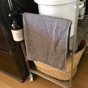 コンテックス フェイスタオル 今治タオル ラー...の詳細画像4