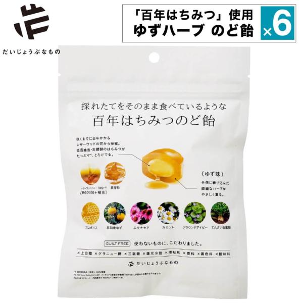 6点セット 百年はちみつのど飴 だいじょうぶなもの のど飴 ゆずハーブのど飴 個包装 無添加 ハチミ...