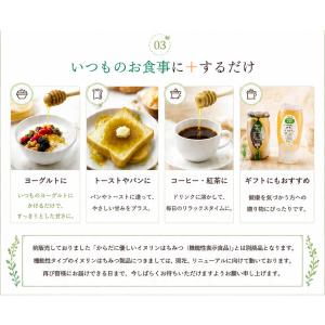 2点セット マイハニー イヌリンはちみつ 30...の詳細画像5