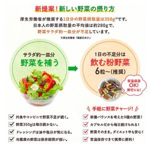 ベジタブルテック 飲む粉野菜 6つの野菜セレク...の詳細画像2