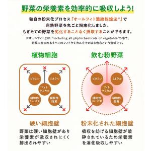 ベジタブルテック 飲む粉野菜 6つの野菜セレク...の詳細画像3