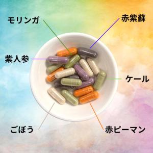 ベジタブルテック 飲む粉野菜 6つの野菜セレク...の詳細画像5