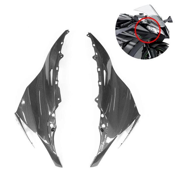 並行輸入品 カワサキ ABS プラスチック ハイドロ浸カーボン終わり ninja zx10r 201...