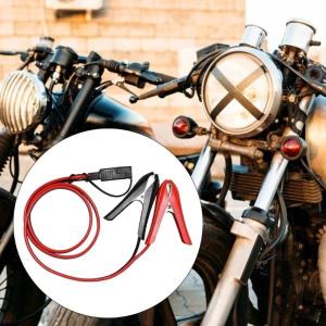 並行輸入品 バッテリーワニ口クリップクランプク...の詳細画像1