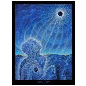 ALEX GREY アレックスグレイ ポスター「Newborn」 : PSYCHEDELIC