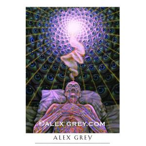 ALEX GREY アレックスグレイ ポスター「DYING」｜psychedelicgarden